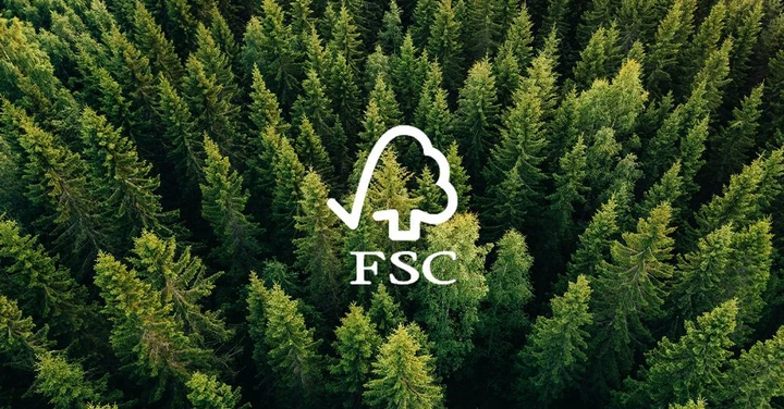 Toadly FSC